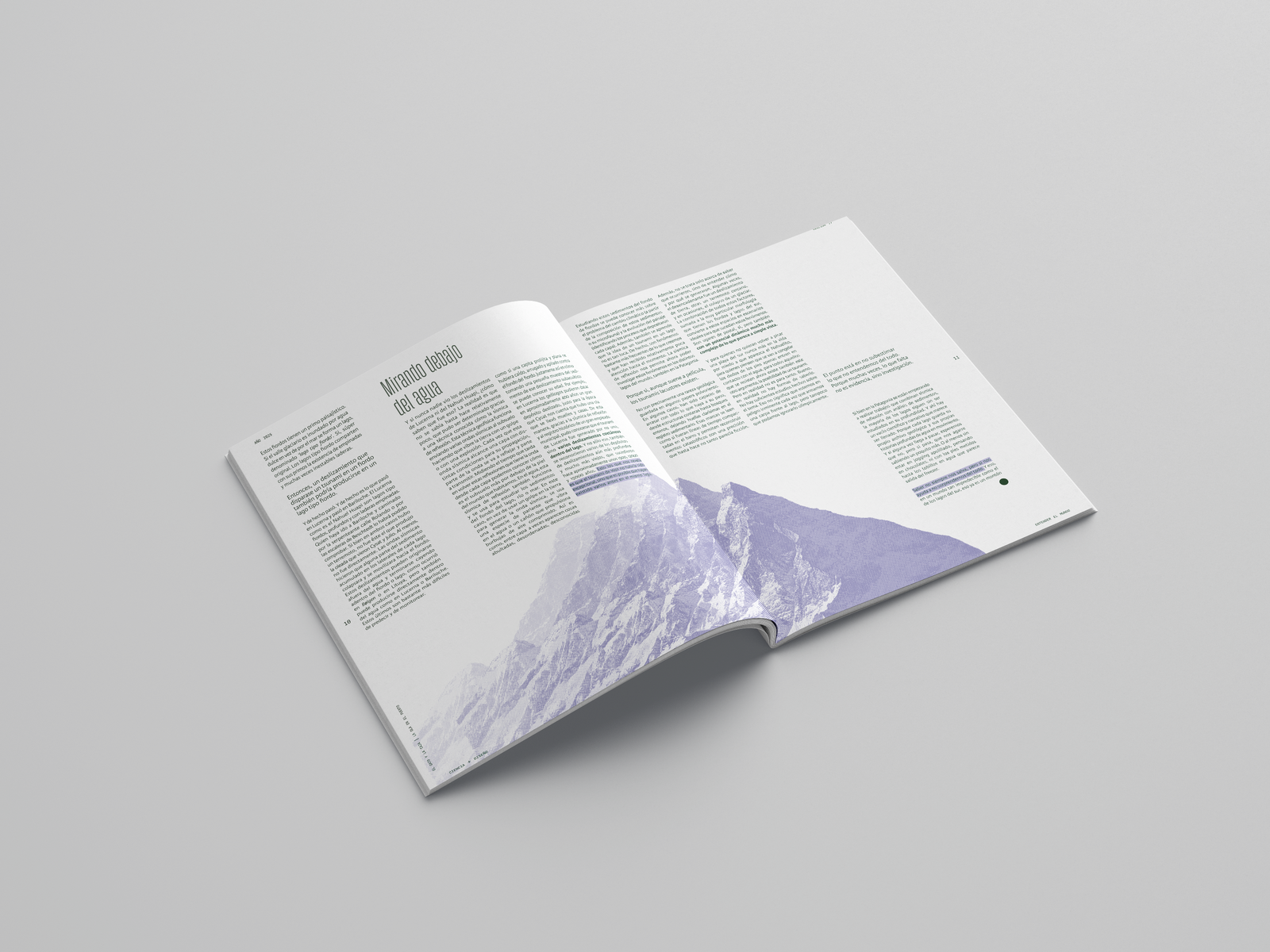 El Gato y La Caja — Magazine — 7